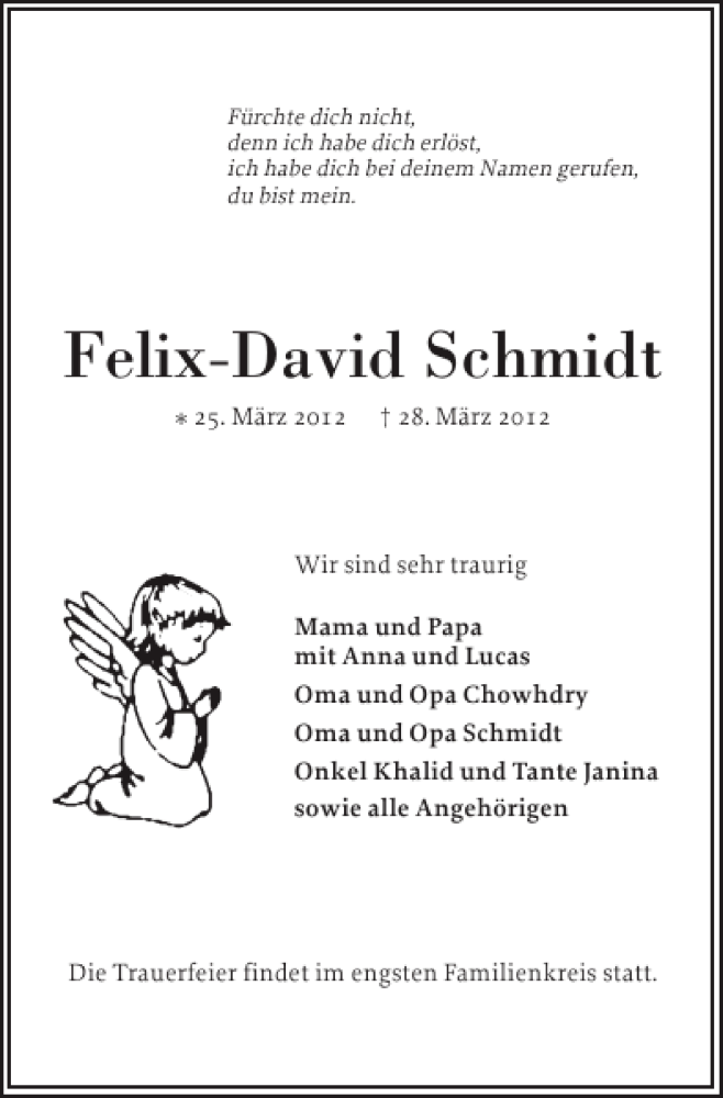  Traueranzeige für Felix-David Schmidt vom 31.03.2012 aus Elmshorner Nachrichten