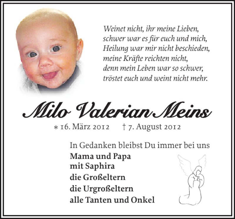  Traueranzeige für Milo Valerian Meins vom 11.08.2012 aus Holsteinischer Courier