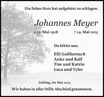 Traueranzeige von Johannes Meyer von Flensburger Tageblatt