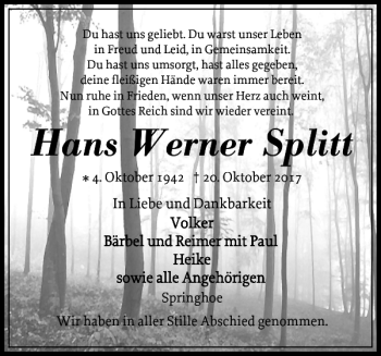 Traueranzeige von Hans Werner Splitt von Norddeutsche Rundschau