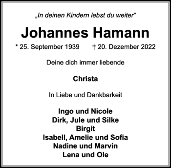 Traueranzeige von Johannes Hamann von Stormarner Tageblatt