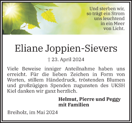 Traueranzeige von Eliane Joppien-Sievers von Schleswig-Holsteinische Landeszeitung