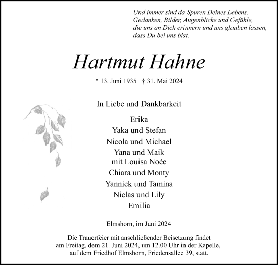 Traueranzeige von Hartmut Hahne von Elmshorner Nachrichten, Barmstedter Zeitung