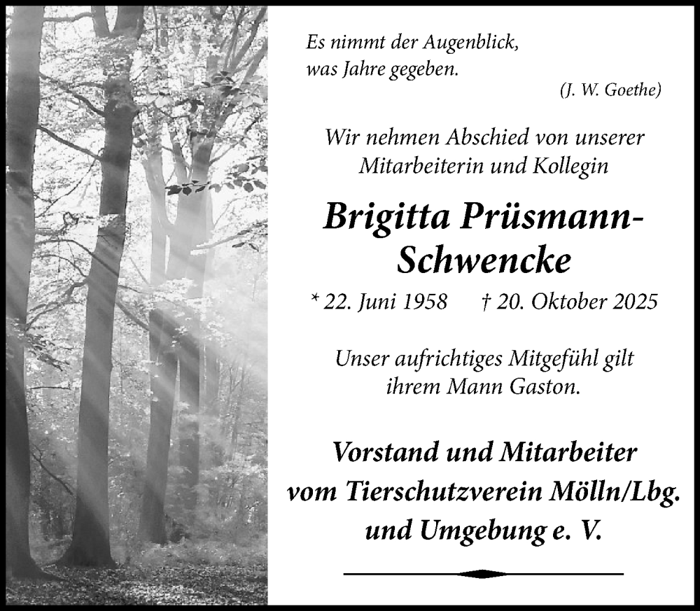  Traueranzeige für Brigitta Prüsmann-Schwencke vom 15.11.2025 aus MARKT Ratzeburg/Mölln