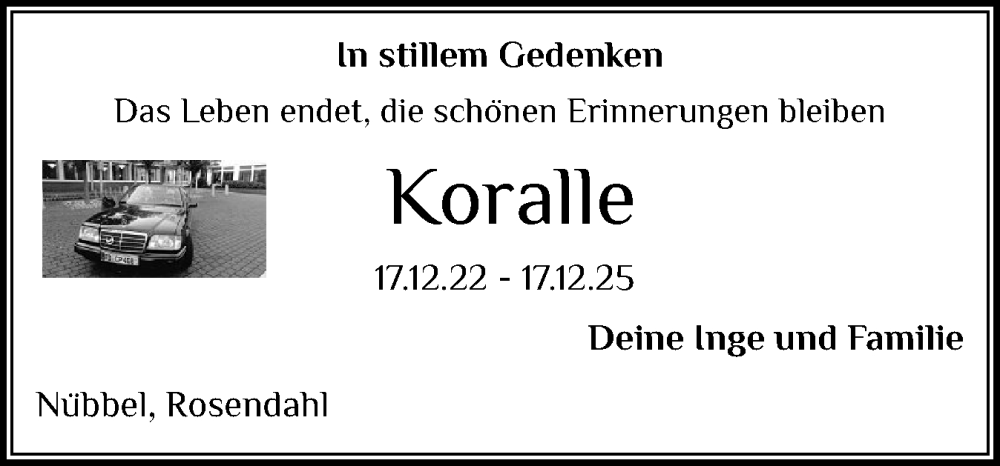  Traueranzeige für Koralle  vom 13.12.2025 aus Schleswig-Holsteinische Landeszeitung