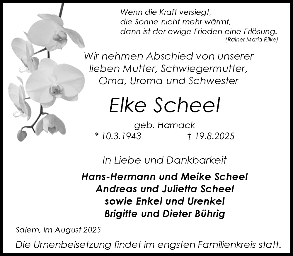  Traueranzeige für Elke Scheel vom 30.08.2025 aus MARKT Ratzeburg/Mölln