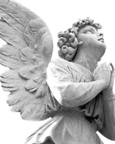 Profilbild Stefanie Niebuhr