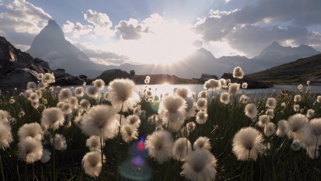 Video zur Danksagung 1